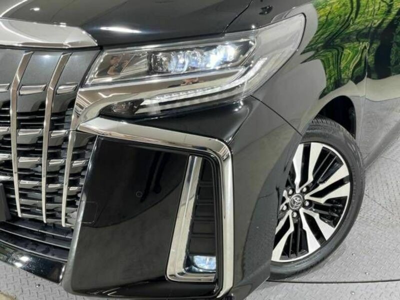 ALPHARD-13