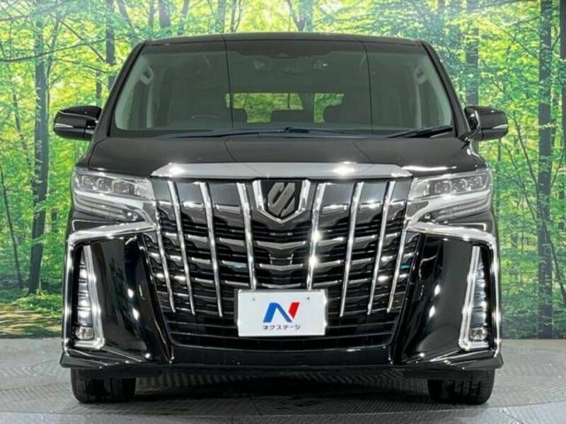 ALPHARD-15