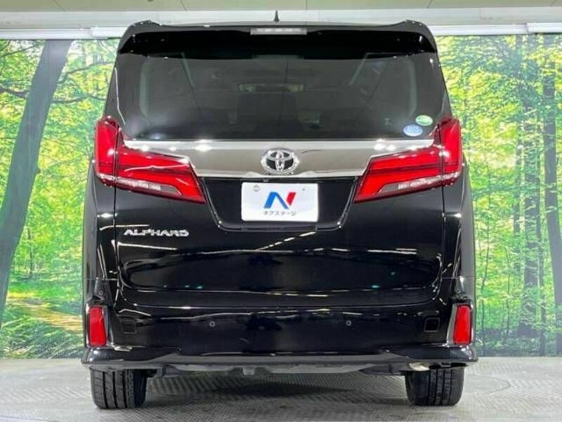 ALPHARD-16