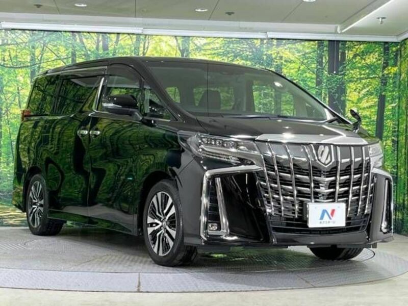 ALPHARD-17