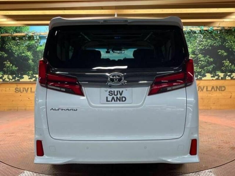 ALPHARD-17