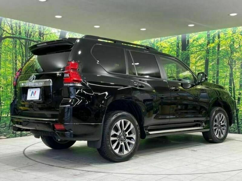 LAND CRUISER PRADO-18