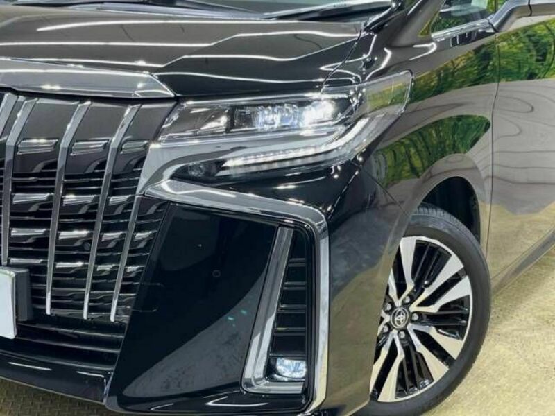 ALPHARD-13