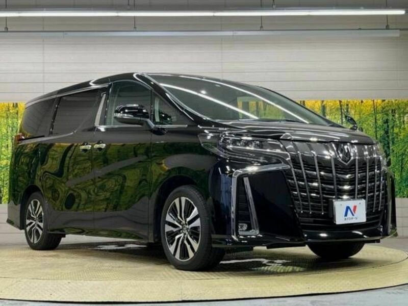 ALPHARD-17