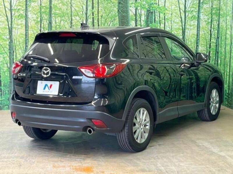 CX-5-17