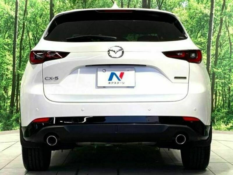 CX-5-15