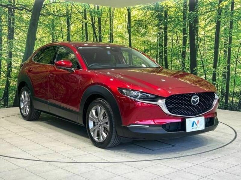 CX-30-16