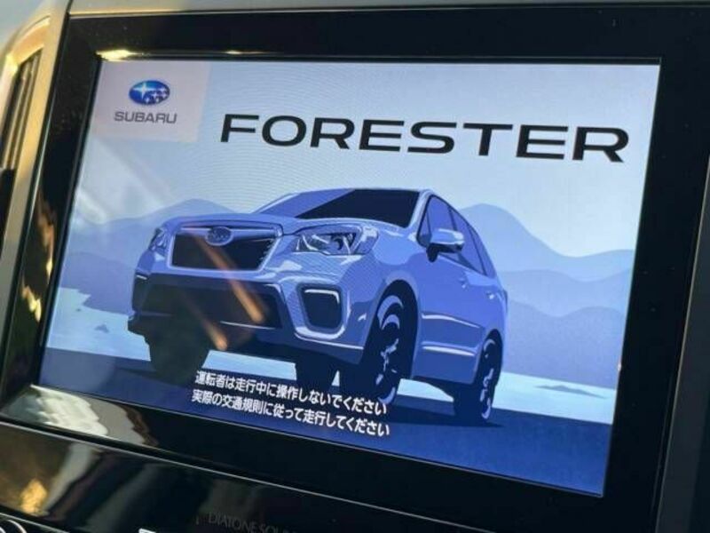 FORESTER-8