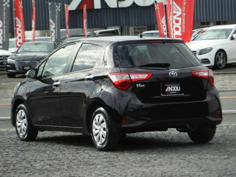 VITZ-3