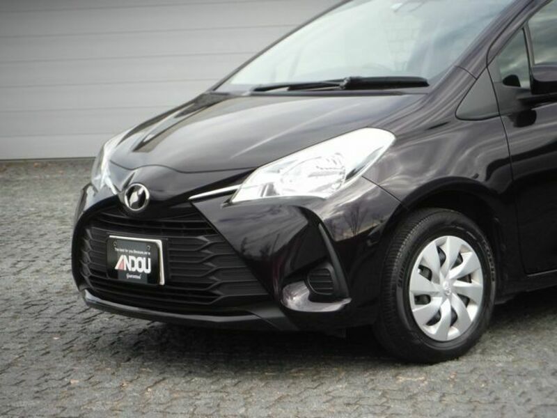 VITZ-4