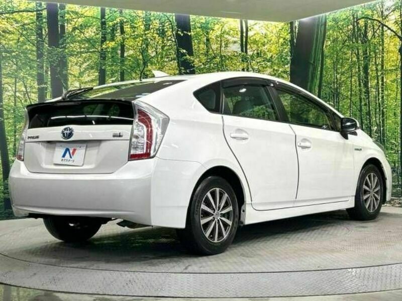 PRIUS-17