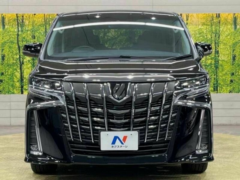 ALPHARD-15