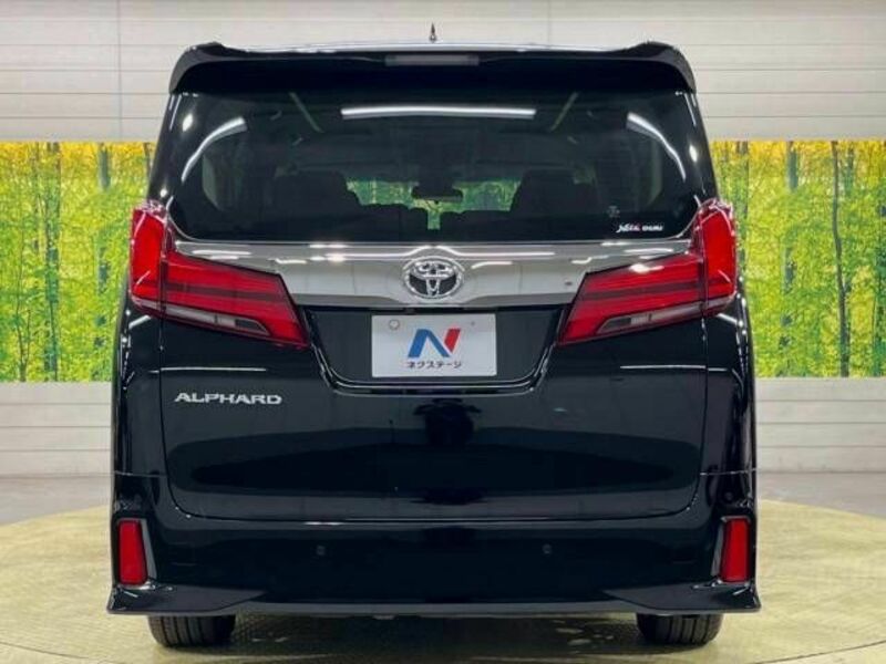 ALPHARD-16