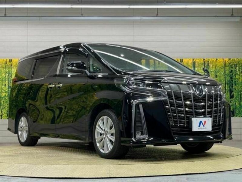 ALPHARD-17