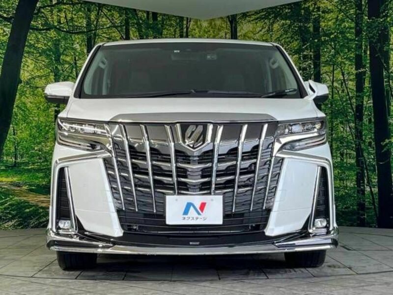 ALPHARD-15