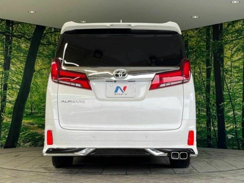 ALPHARD-16