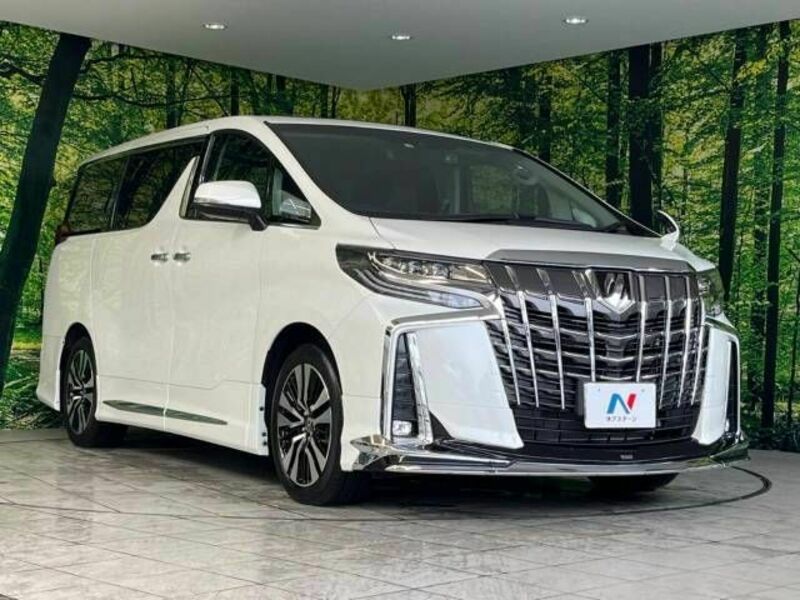 ALPHARD-17