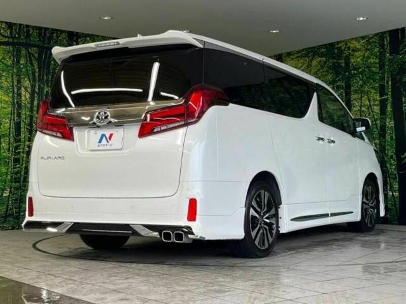 ALPHARD-18