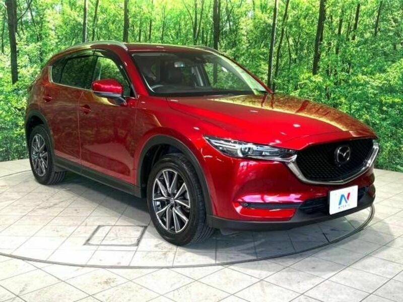 CX-5-18