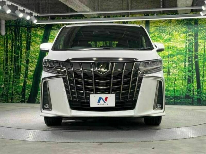 ALPHARD-15