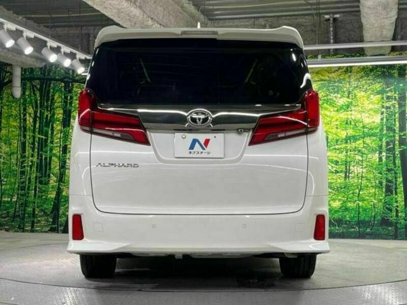 ALPHARD-16