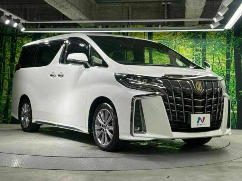 ALPHARD-17