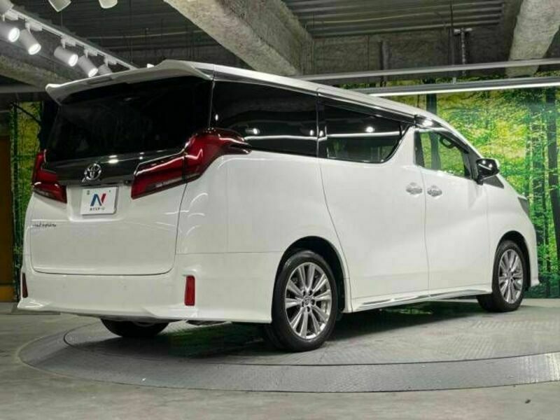 ALPHARD-18