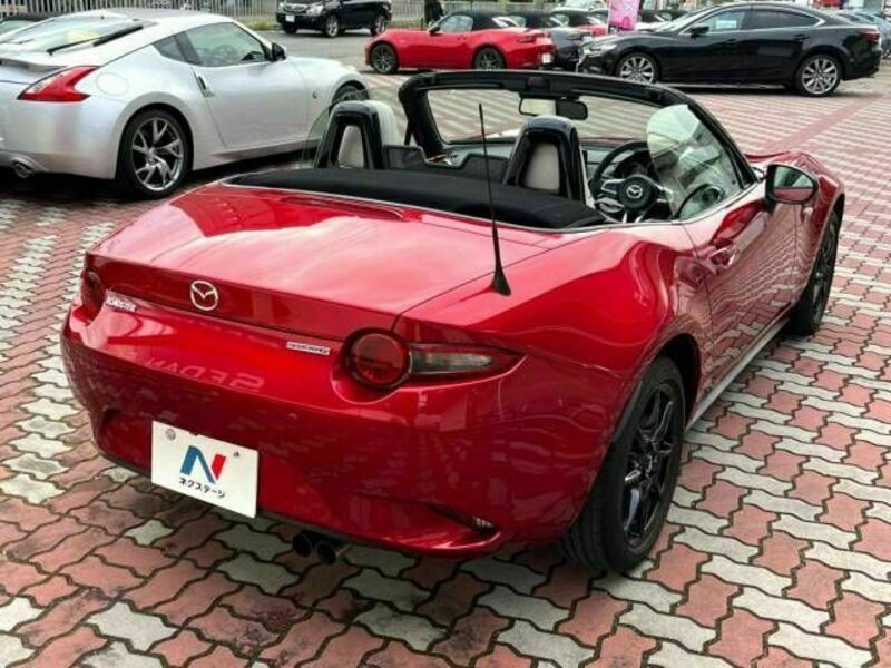 ROADSTER-17