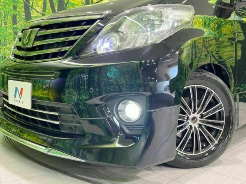 ALPHARD-13