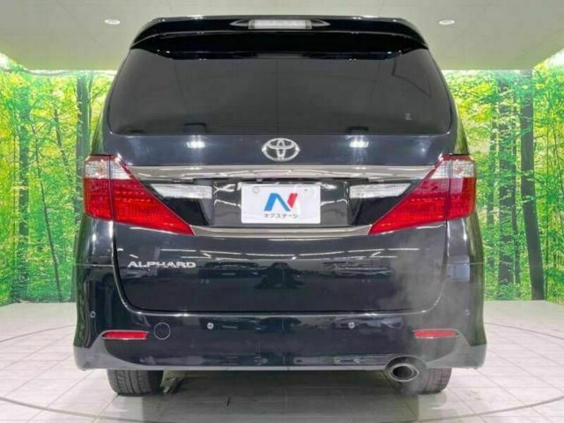 ALPHARD-16