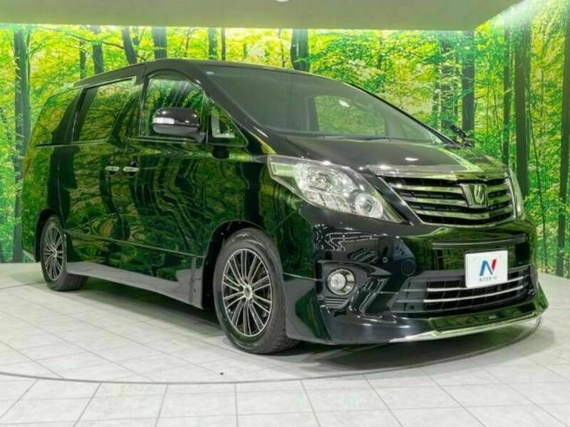 ALPHARD-17