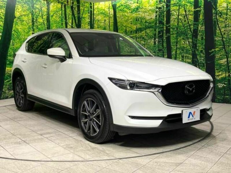 CX-5-16