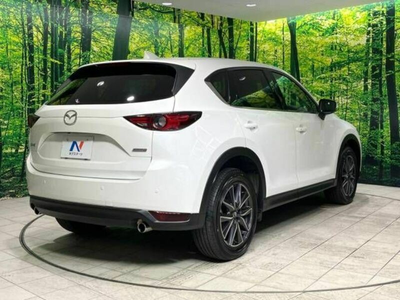 CX-5-17