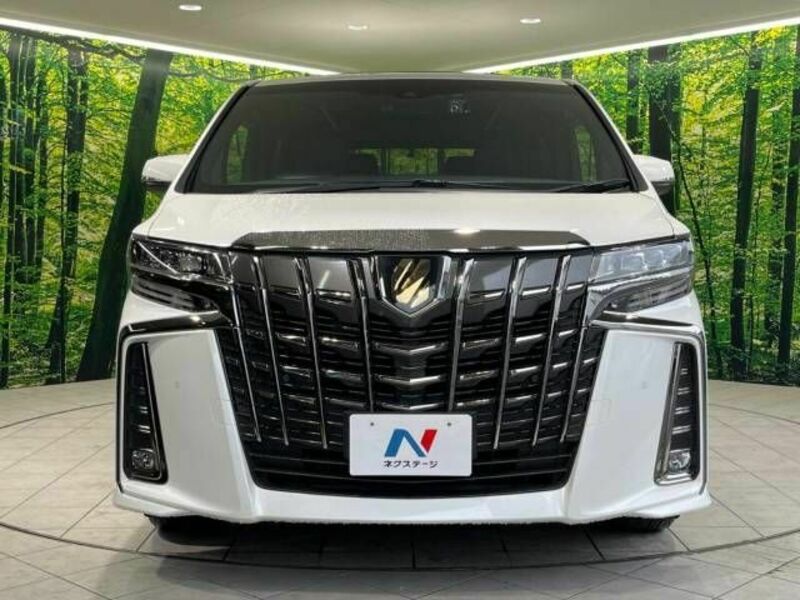 ALPHARD-15