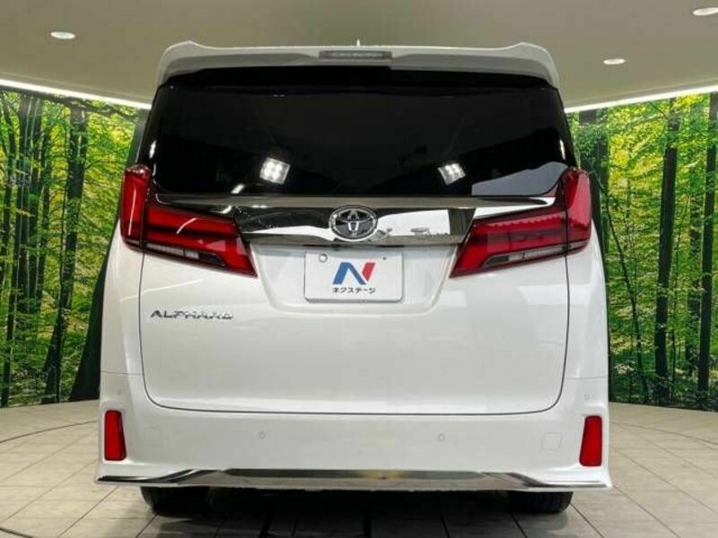 ALPHARD-16