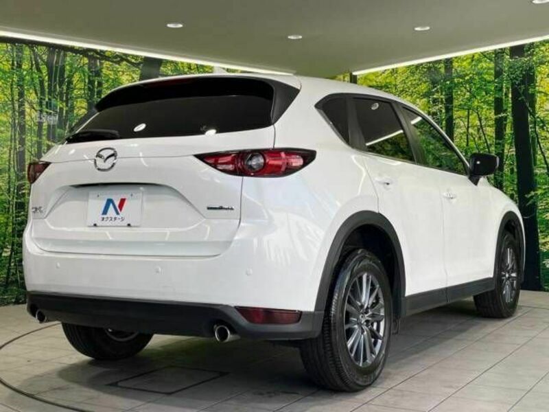 CX-5-17