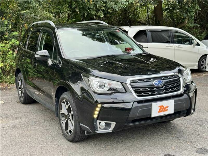 FORESTER-3