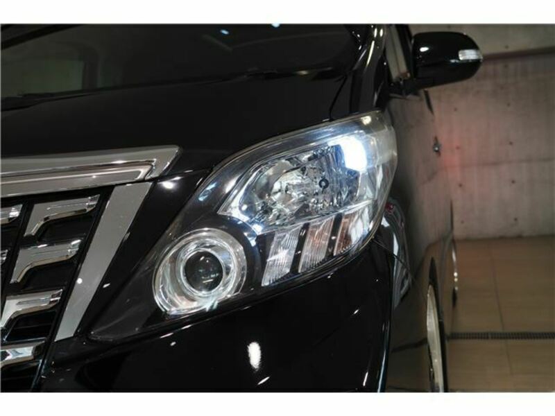 ALPHARD-9