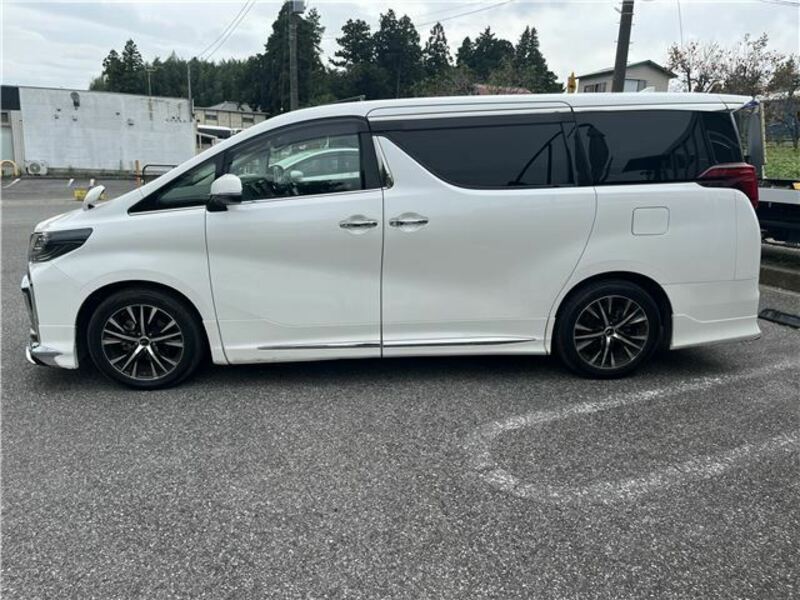 ALPHARD-10