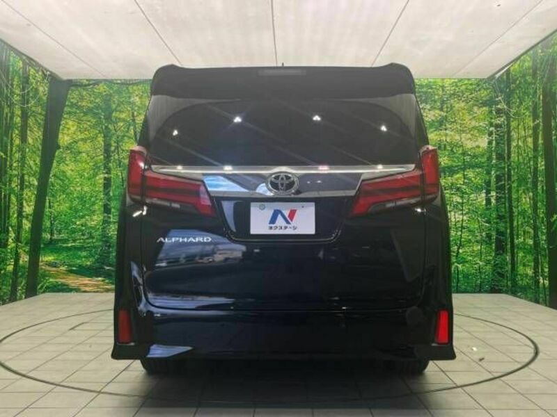 ALPHARD-16