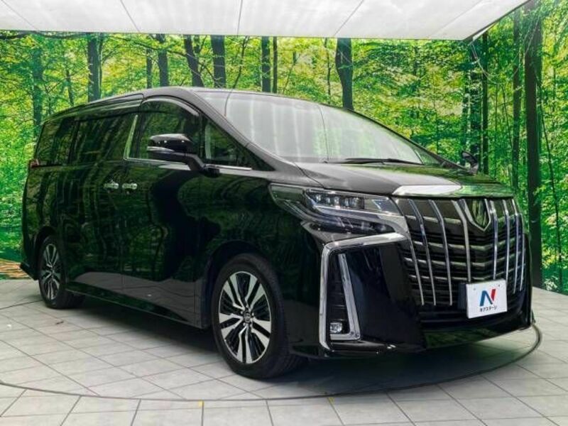 ALPHARD-17