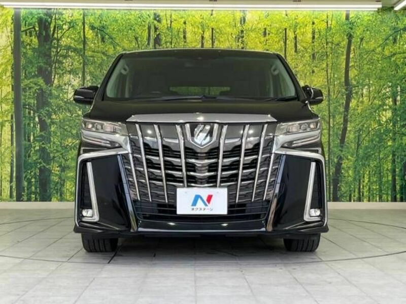 ALPHARD-16