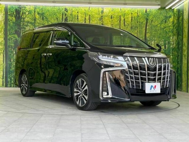 ALPHARD-18