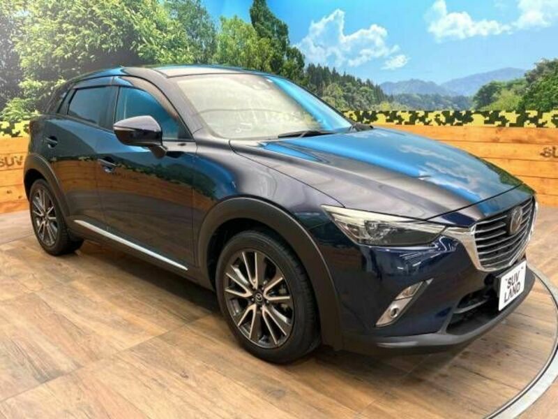 CX-3-16