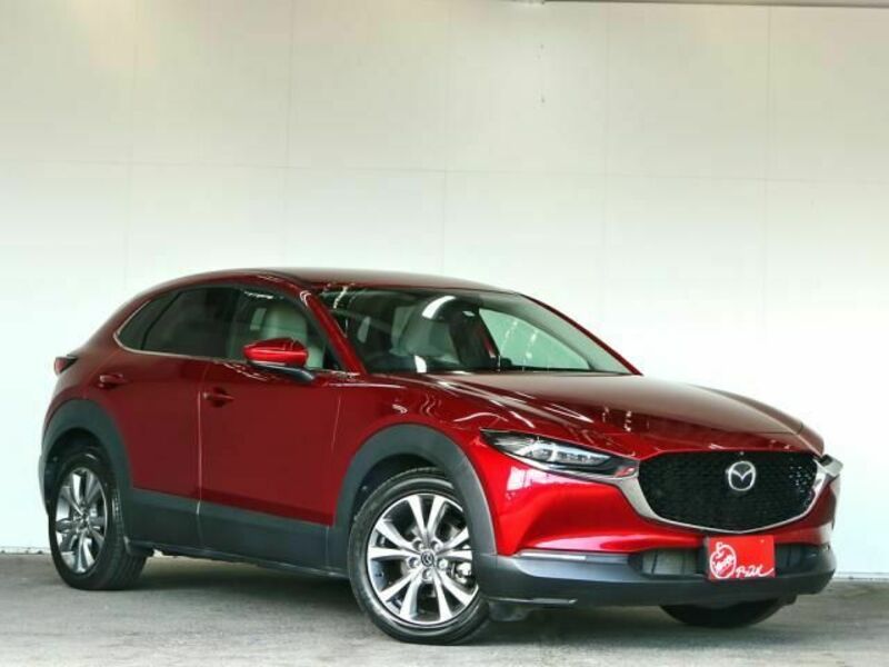 CX-30-1