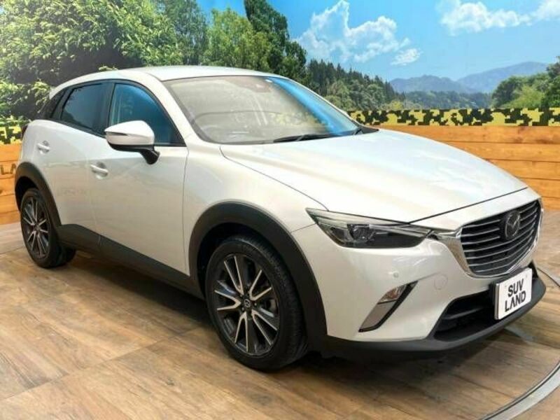 CX-3-16