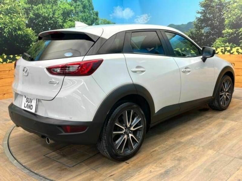 CX-3-17