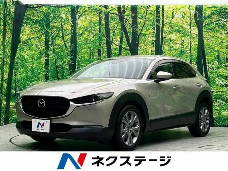 CX-30