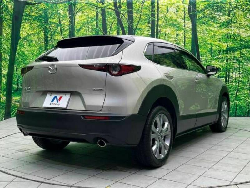 CX-30-17