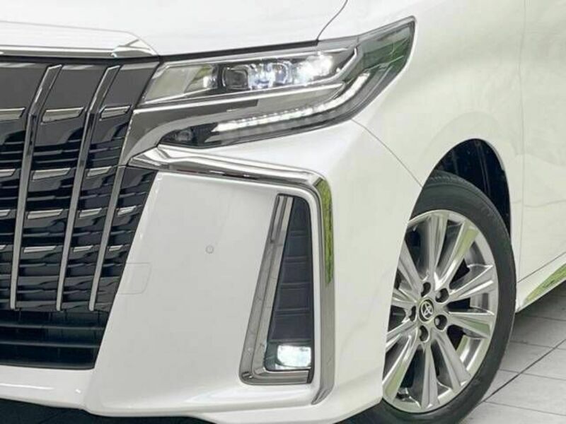 ALPHARD-13